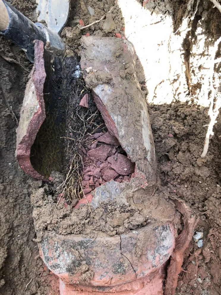 Slide of Sam Rooter & Plumbing