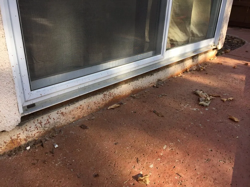 Emergency pipe repair for homes in Sacramento, CA by Sam Russo Handyman