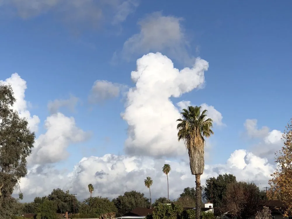 Slide of Sam Scott Builders