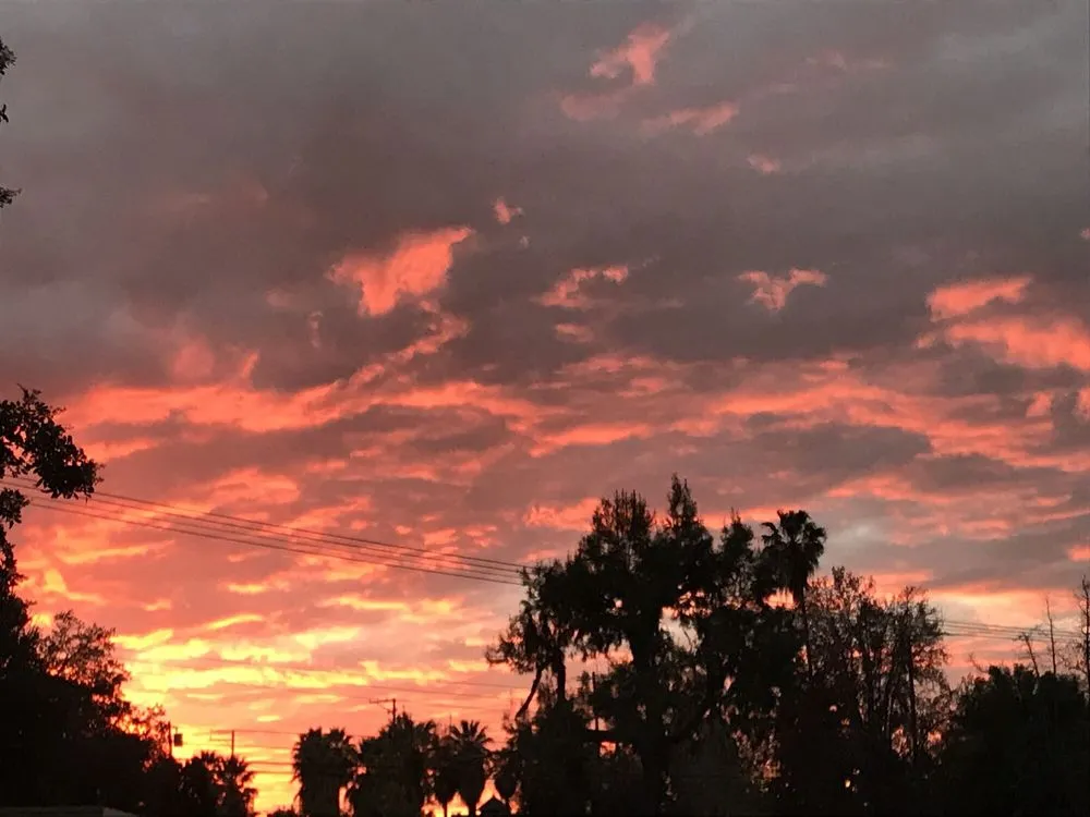 Slide of Sam Scott Builders