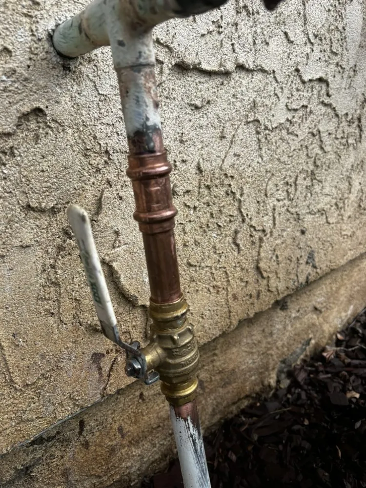 Slide of Same Day Drains