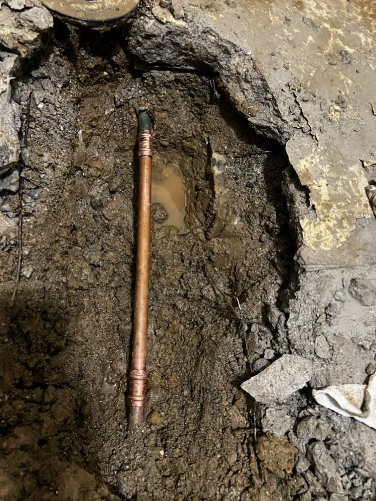 Slide of Same Day Drains