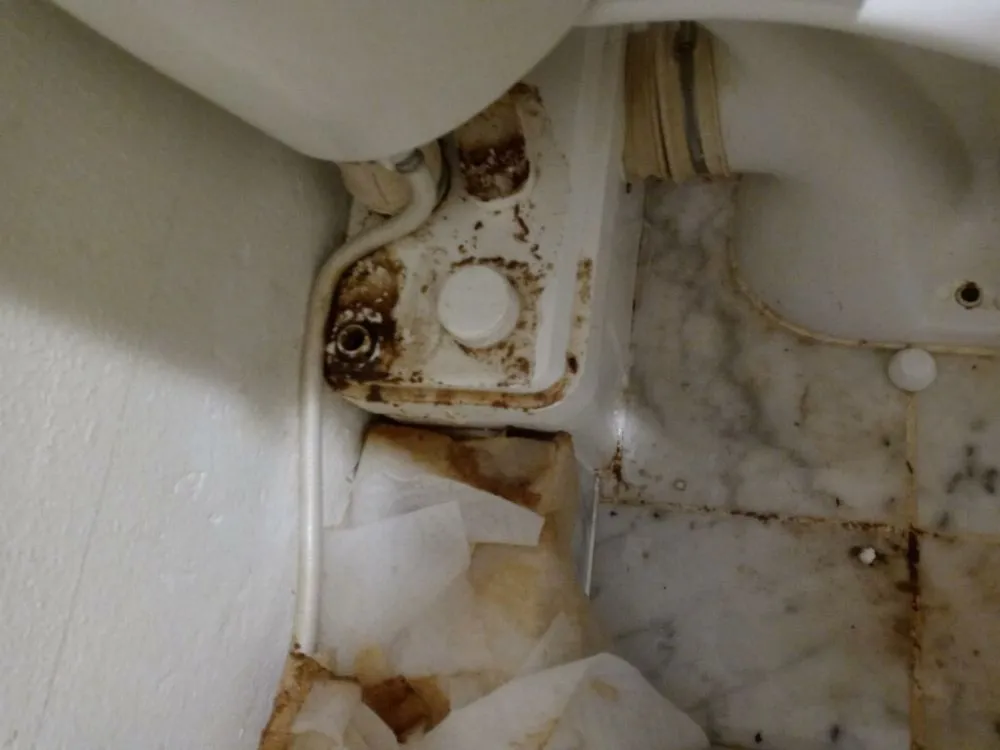 Trusted leak detection for homes in St Louis, MO by Same Day Plumbing and Drain