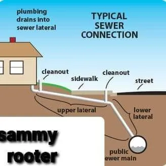 Slide of Sammy Rooter