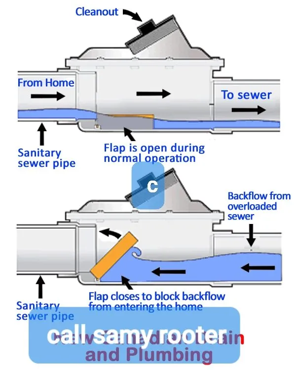 Slide of Sammy Rooter