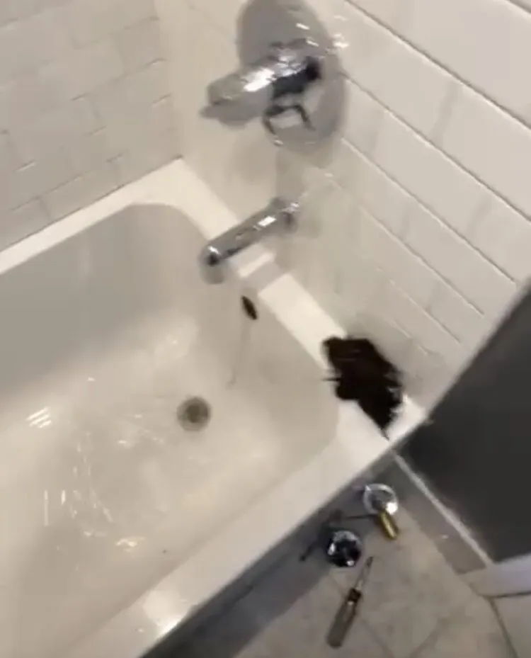 Reliable emergency plumbing service in Brooklyn, NY - Sam's Plumbing Services