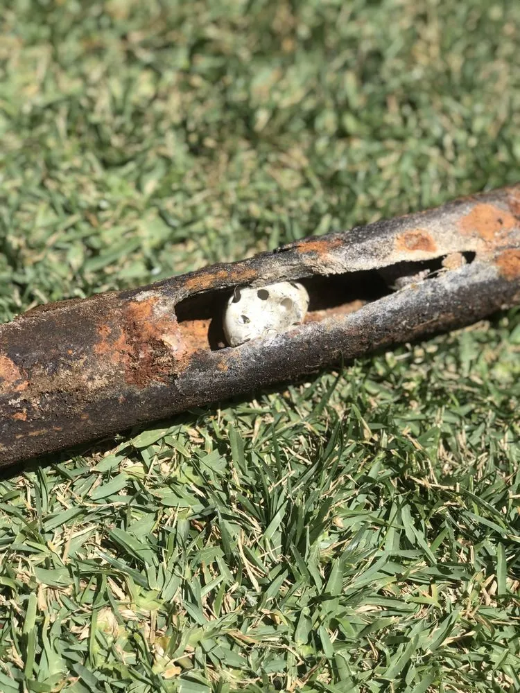 Slide of Samurai Plumbing