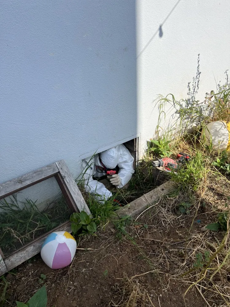 Quality drain cleaning experts serving Chula Vista, CA - San Diego Emergency Plumbing & Leak Detection