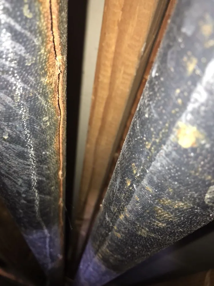 Top-rated water heater service experts serving San Diego, CA - San Diego Leak Detection