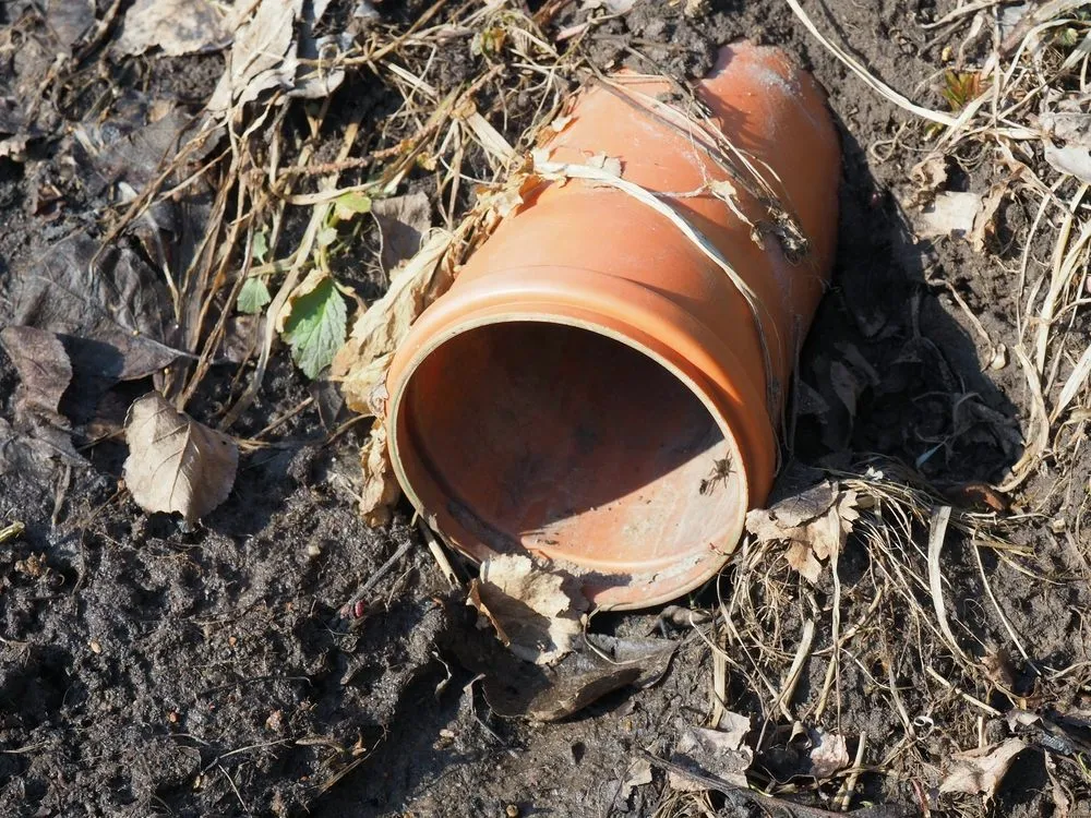 Slide of San Diego Plumbing & Pipelining