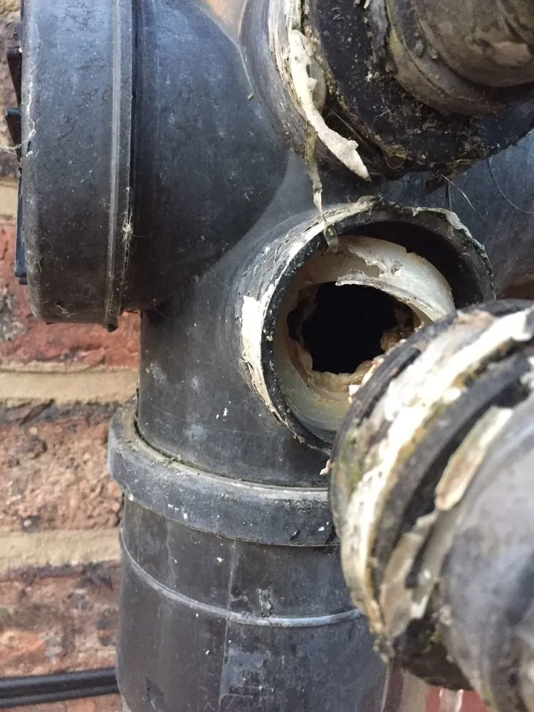 Top-rated plumbing repair in San Gabriel, CA by San Gabriel Anytime Plumber