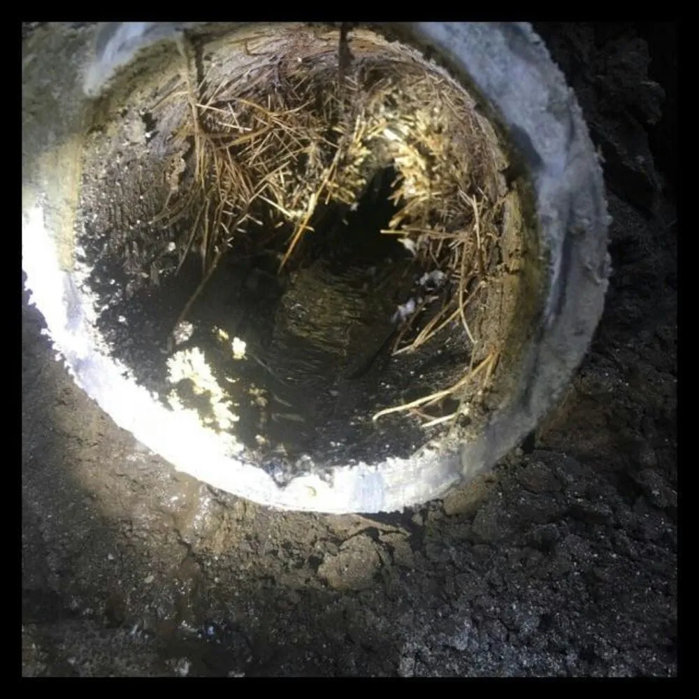 Slide of San Jose Drain and Main