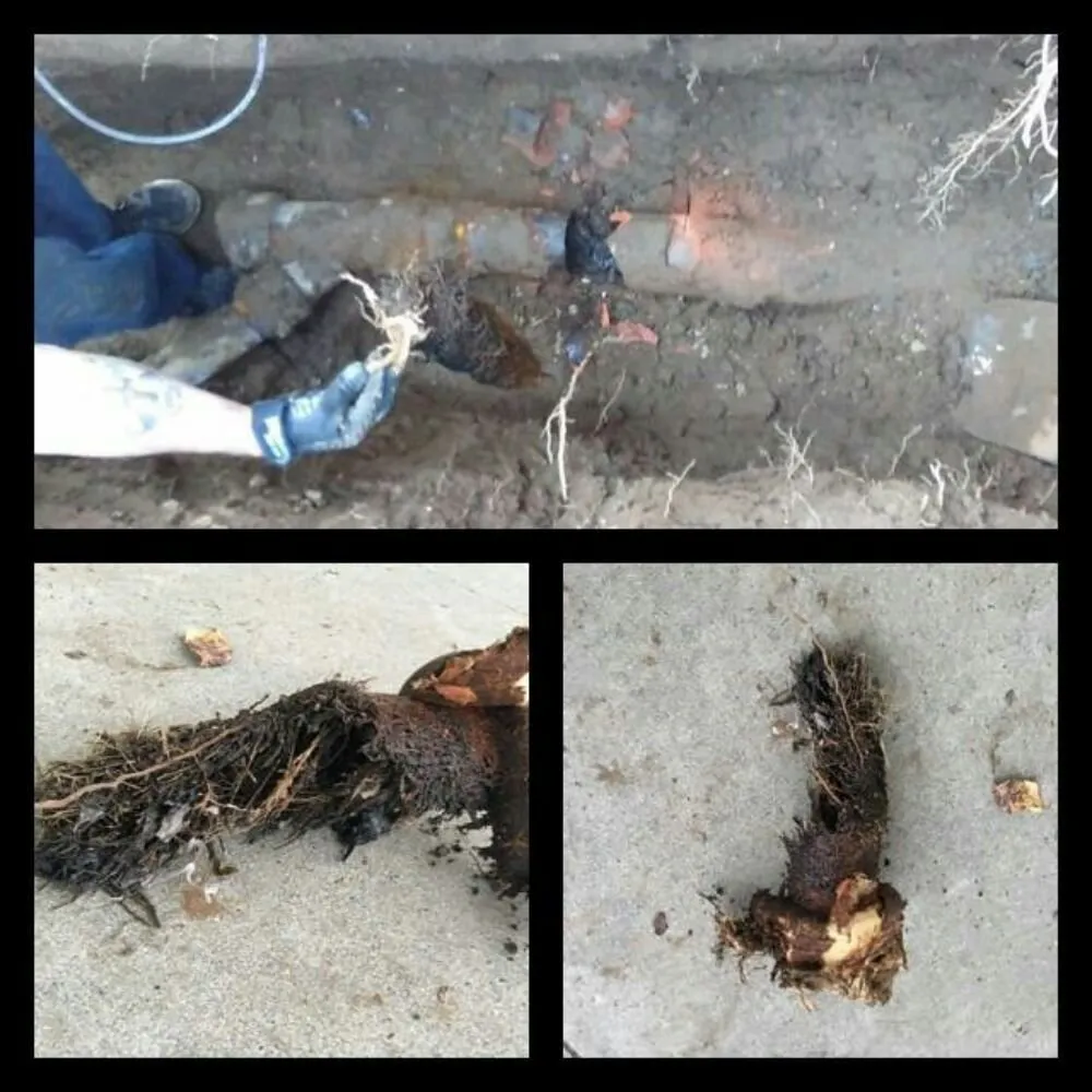 Slide of San Jose Drain and Main