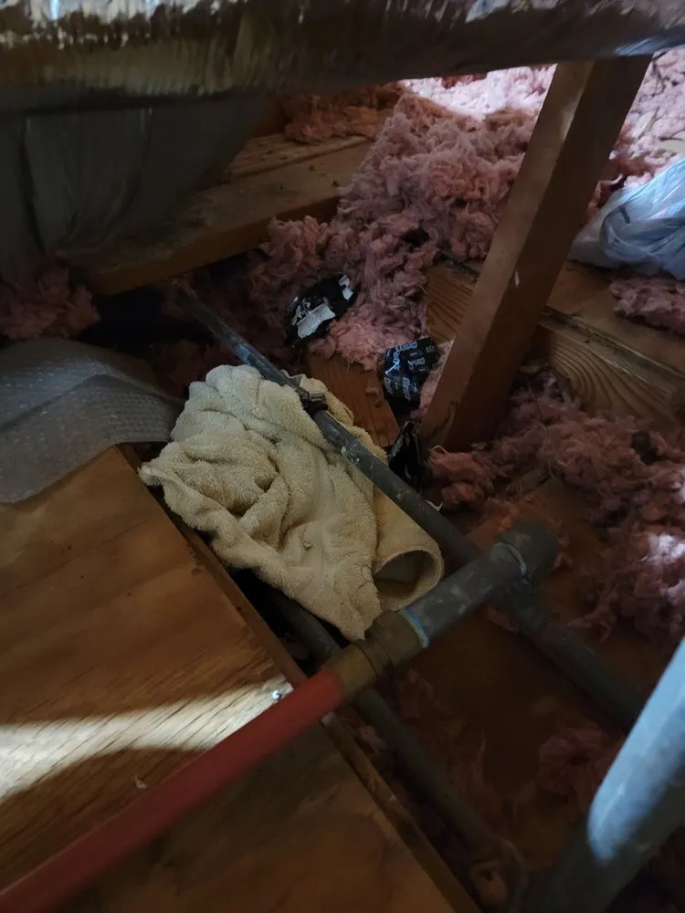 Slide of Sancho Services