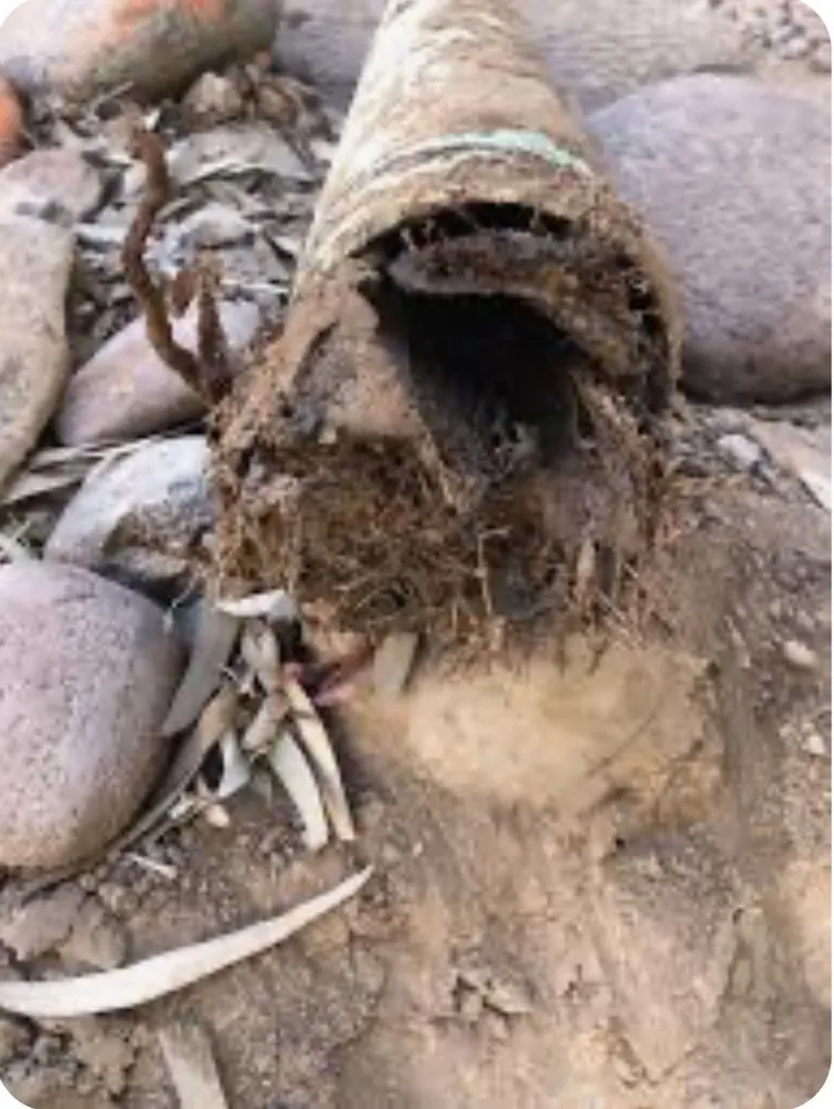 Slide of Sandoval Plumbing