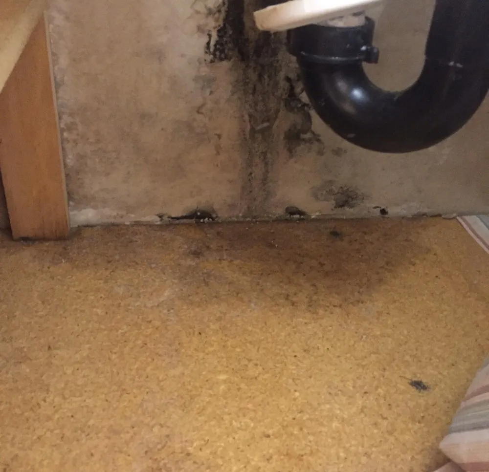 Slide of Santana's Plumbing