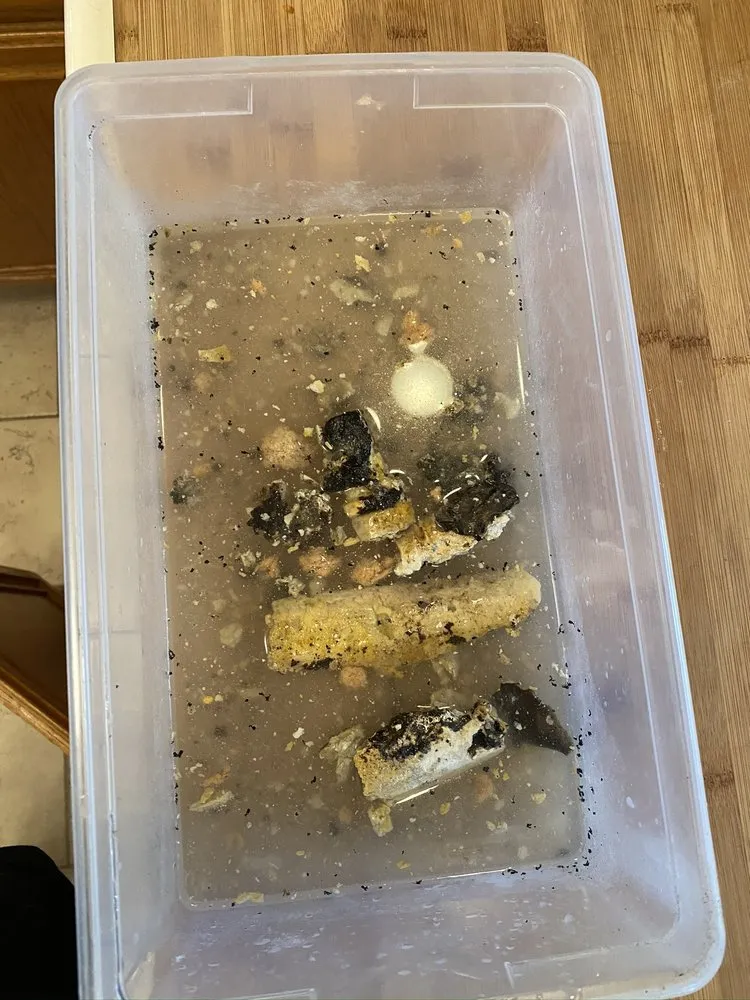 Slide of Santana's Plumbing