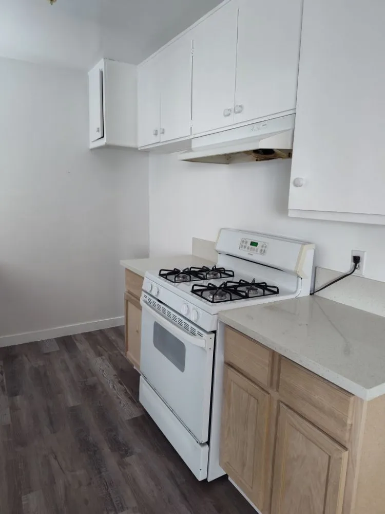 Slide of Santos Sazo Handyman