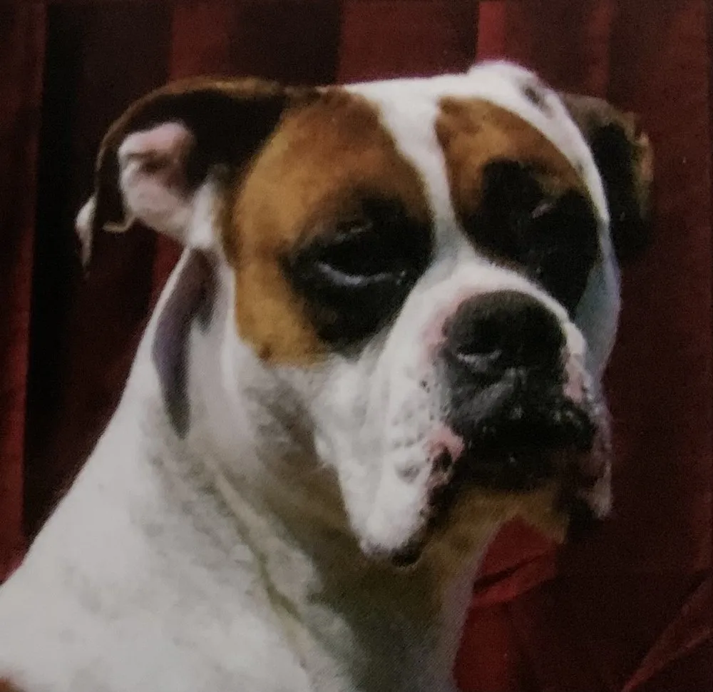 Slide of Sargent's Plumbing and Heating