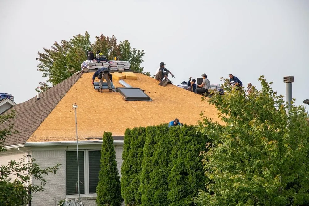 Slide of SAS Services