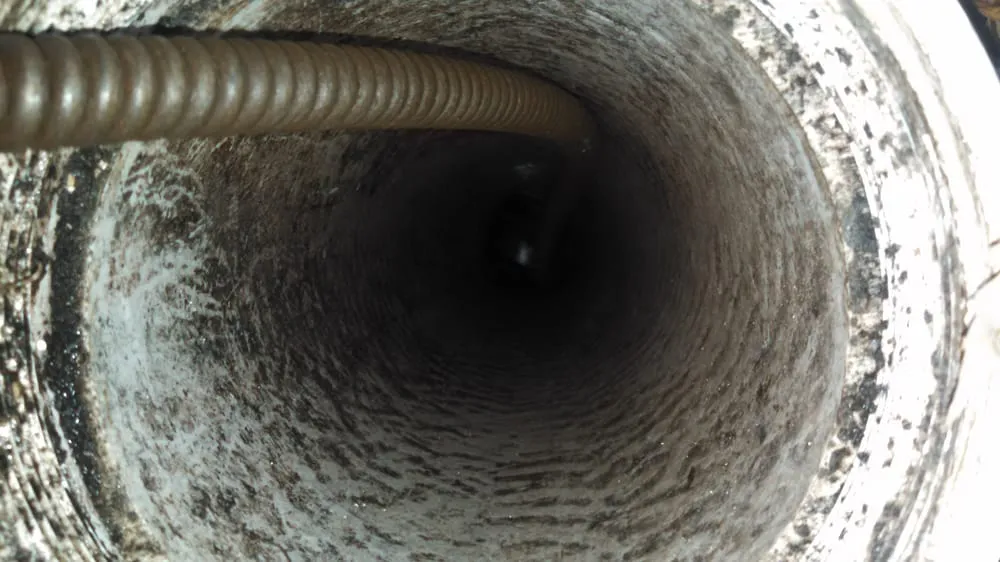 Slide of SAS Services