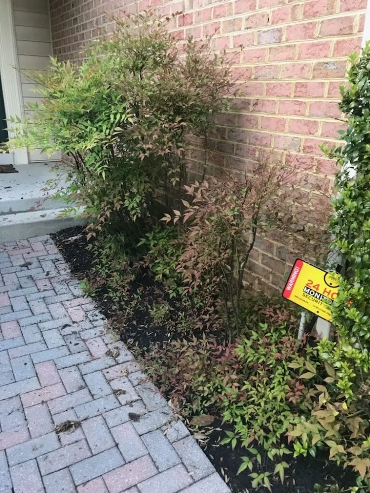 Slide of Satisfactory Repairs