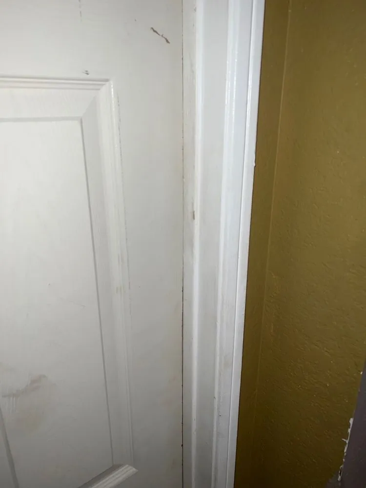 Slide of Saucedo Maintenance