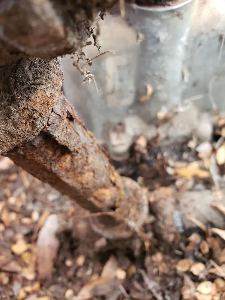 Expert pipe repair service in Culver City, CA - Saucedo Plumbing And Rooter