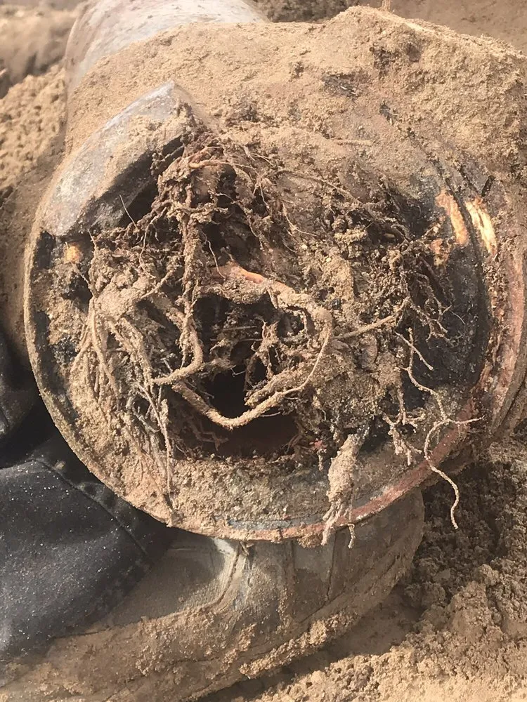 Emergency plumbing repair experts serving Culver City, CA - Saucedo Plumbing And Rooter