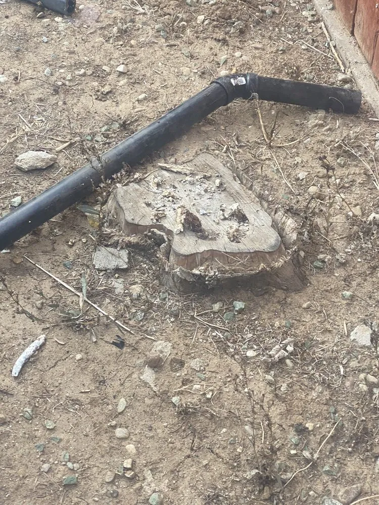 Slide of Save More Rooter & Plumbing