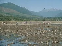 Slide of Save Now Plumbing & Rooter