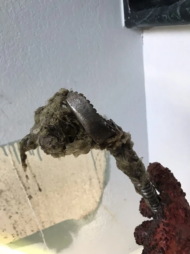 Emergency emergency plumbing in Hayward, CA by Save Plumbing Services