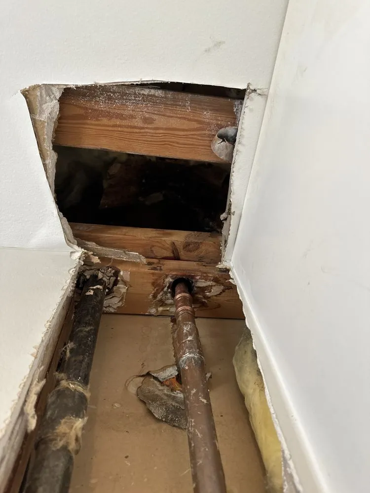 Professional water heater service for homes in Marriottsville, MD by Save The Day Plumbing & Drain Cleaning
