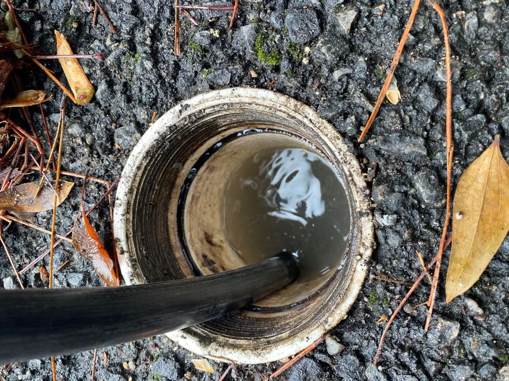 Quality drain cleaning service in St Simons Island, GA - Savino Plumbing