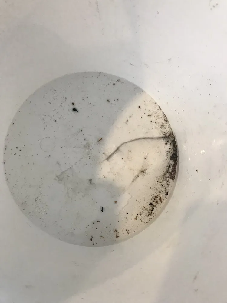 Slide of Savior Leak Detection