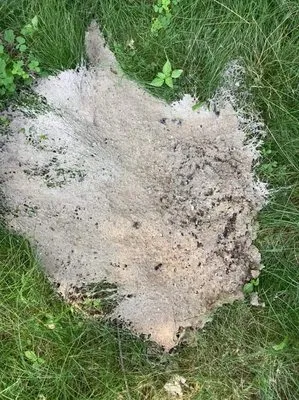 Saw Plumbing & Drain Cleaning