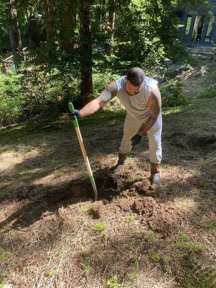 Slide of Sbragia Septic Service