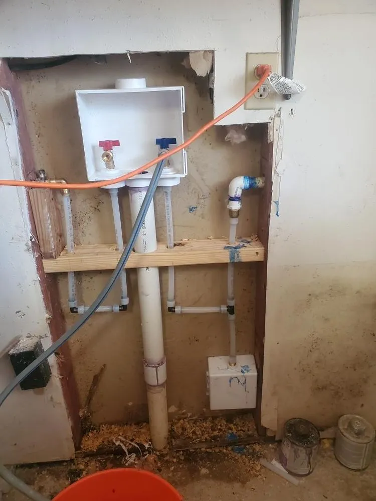 Slide of Scarlet Magnolia