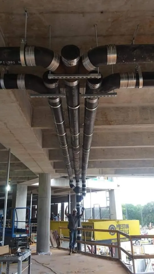 Slide of Scarlet Magnolia