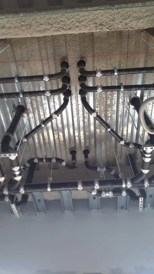 Slide of Scarlet Magnolia