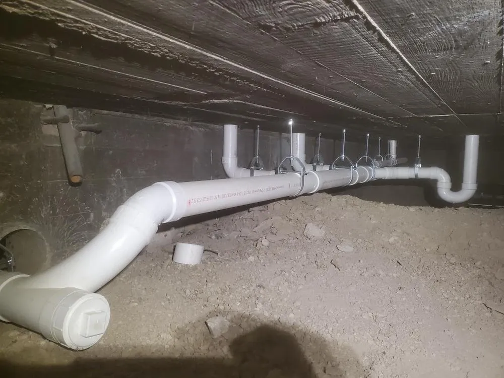 Slide of Scarlet Magnolia