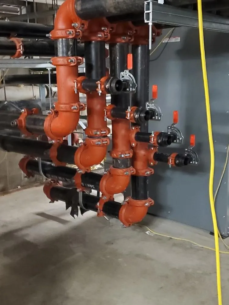 Slide of Scarlet Magnolia