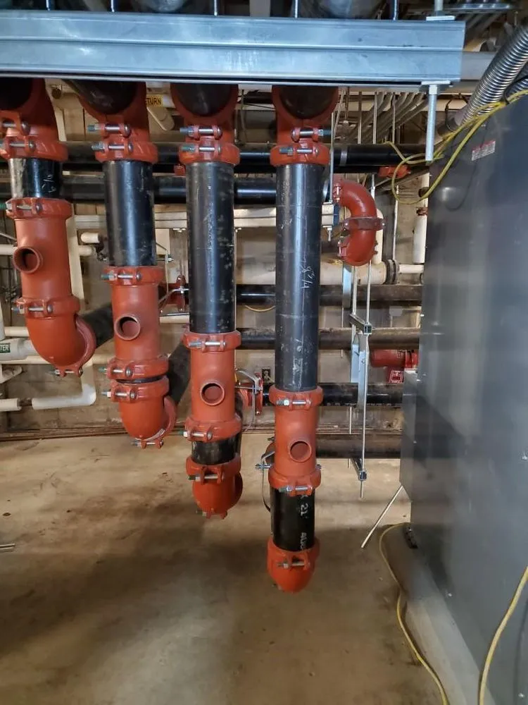 Slide of Scarlet Magnolia