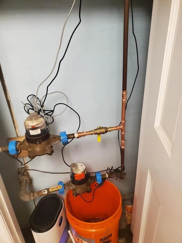 Slide of Scarlet Magnolia