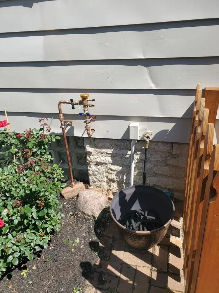 Slide of Scarlet Magnolia