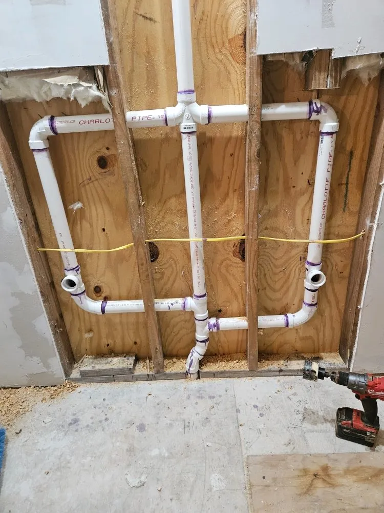 Slide of Scarlet Magnolia