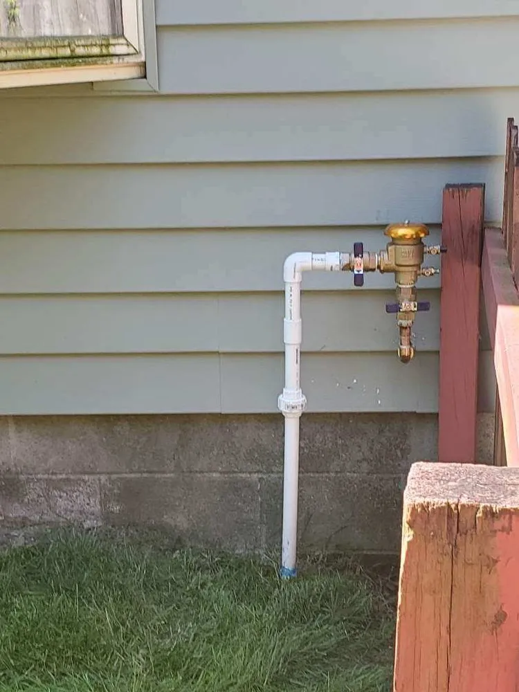 Slide of Scarlet Magnolia