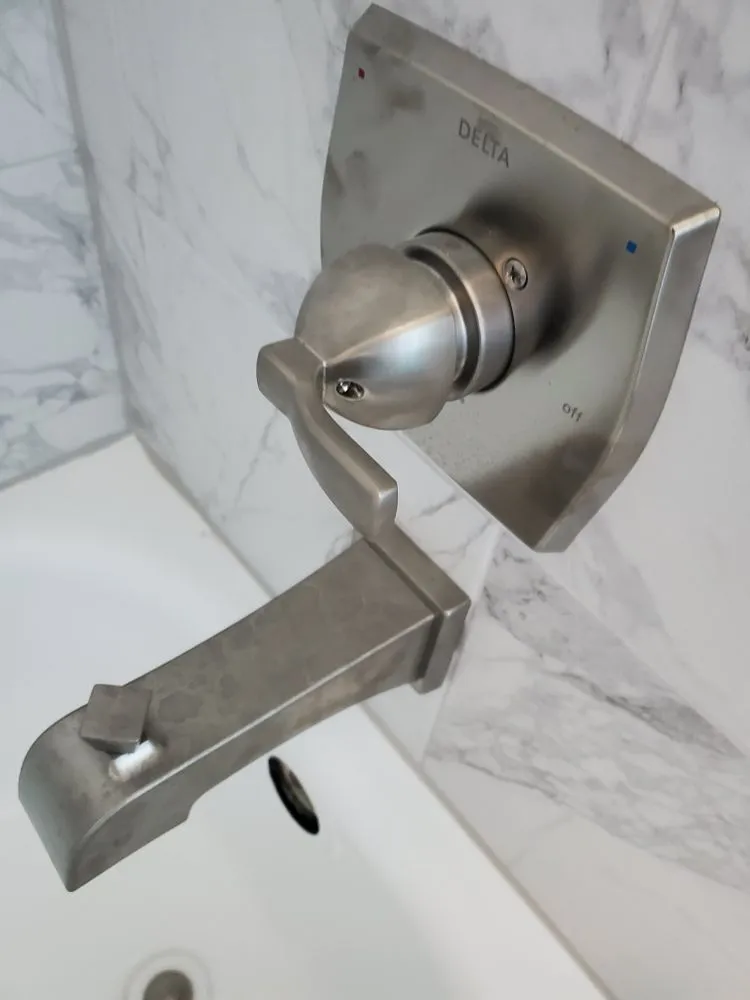 Slide of Scarlet Magnolia