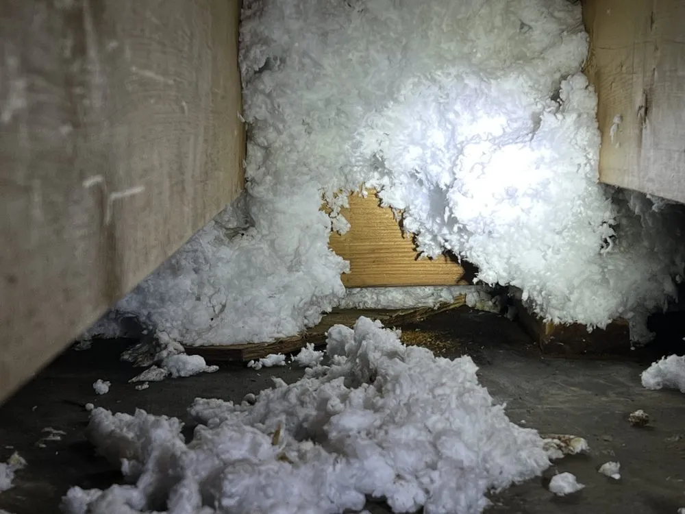 Slide of Scavello Restoration