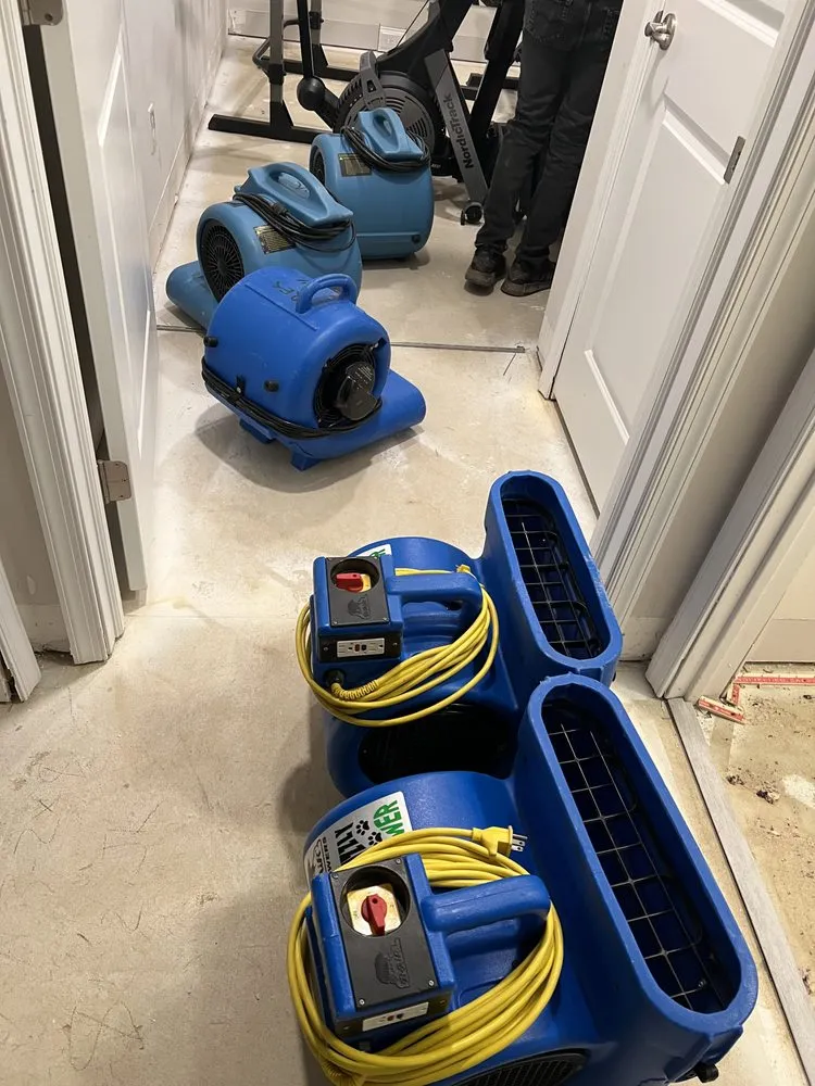 Slide of Scavello Restoration